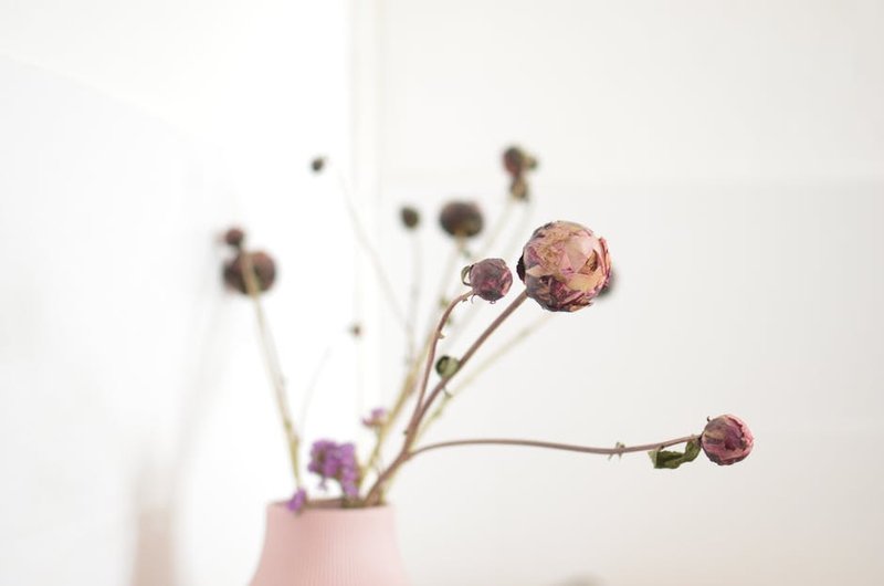 Preserved Rose Standalone Stem